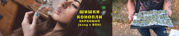 мет Ельня