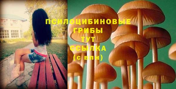 ECSTASY Елабуга
