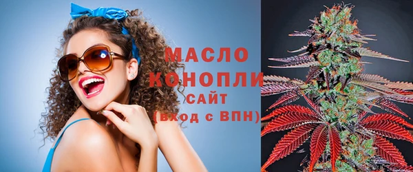 мет Ельня