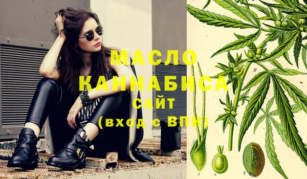 мет Ельня