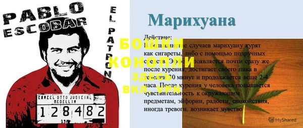 мет Ельня