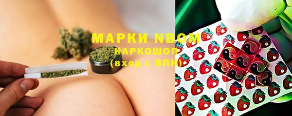 мет Ельня