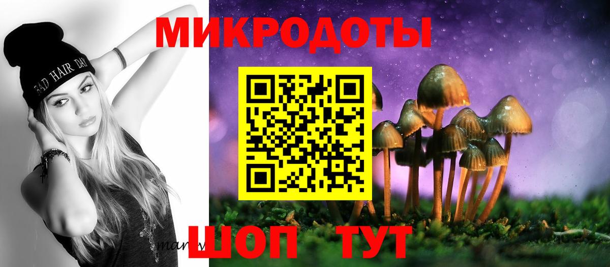 Заводоуковск  что такое   Вход с VPN  Галлюциногенные грибы мухоморы  Галлюциногенные грибы Cubensis 