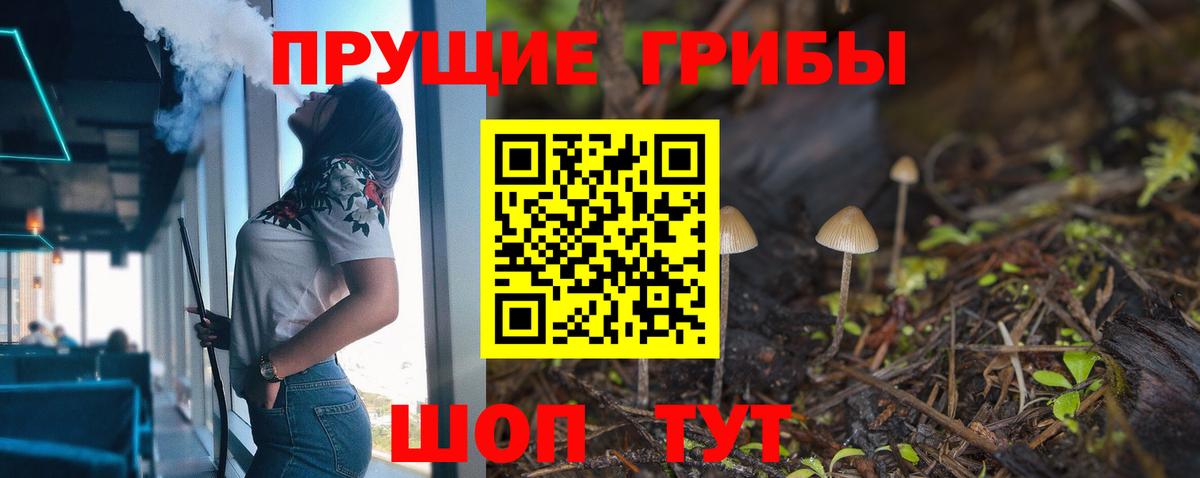 Псилоцибиновые грибы Psilocybe Заводоуковск
